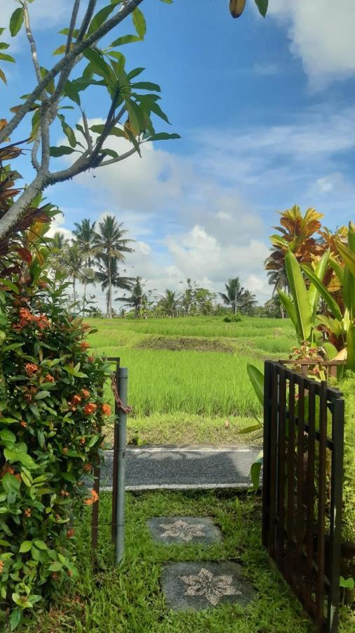 Buddha Homestay 우붓 외부 사진